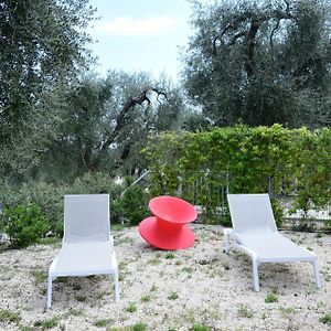 Hmo Glamping & Suites In Vignanotica